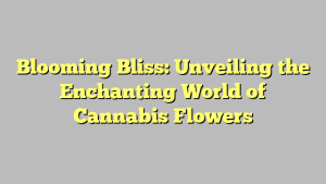 Blooming Bliss: Unveiling the Enchanting World of Cannabis Flowers