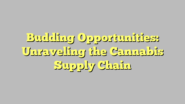 Budding Opportunities: Unraveling the Cannabis Supply Chain