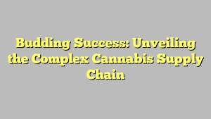 Budding Success: Unveiling the Complex Cannabis Supply Chain