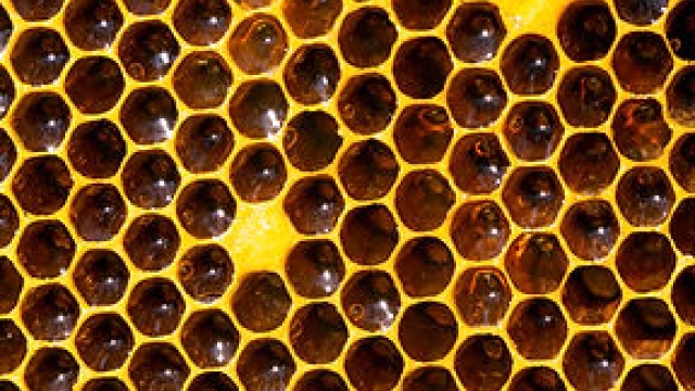 The Sweet Sting: Unveiling the Mysteries of Mad Honey