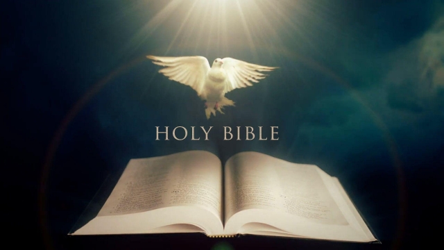 The Illuminating Journey: Bible Study Unveiled
