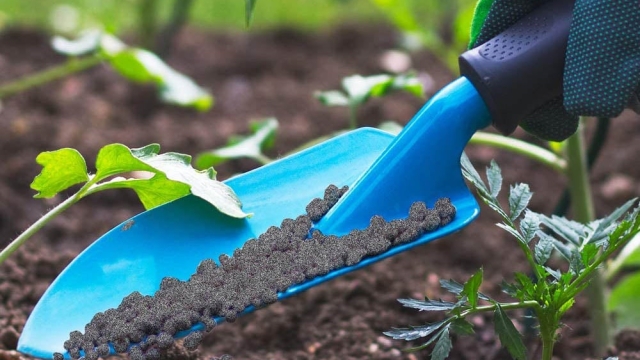 The Secret Weapon for Thriving Gardens: Unleashing the Power of Organic Soil