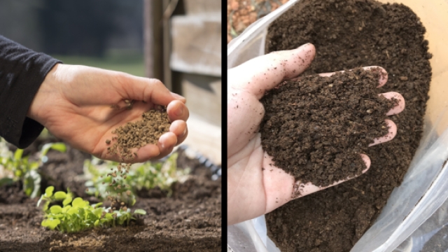 Unlocking the Power of Organic Soil and Fertilizer for Thriving Gardens
