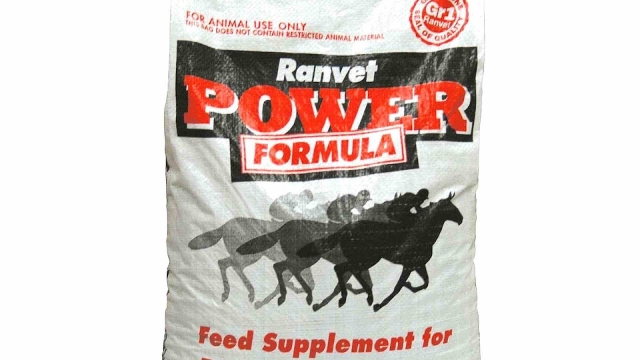 Boosting Equine Wellness: Unleashing the Power of Horse Health Supplements