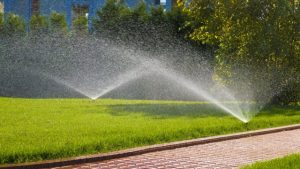 Sprinkle a Little Maintenance Magic: Essential Tips for Sprinkler Care