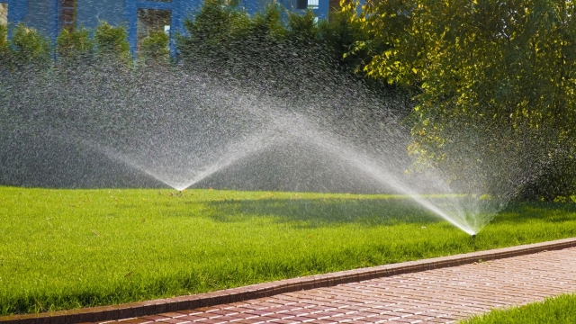 Sprinkle a Little Maintenance Magic: Essential Tips for Sprinkler Care
