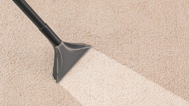 Revive Your Space: The Ultimate Guide to Carpet Cleaning