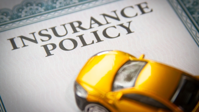 Securing Your Peace of Mind: A Guide to Insurance Services