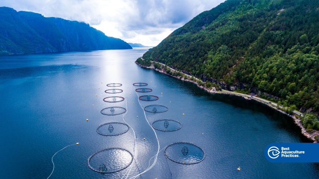 Revolutionizing Our Waters: The Future of Aquaculture Technology