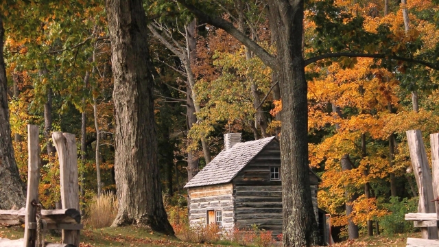 Timber Tales: The Allure of Log Cabins and Homes