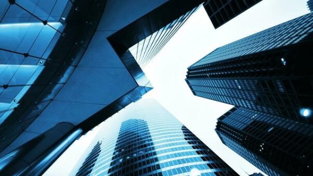 Leveraging Business Loans for Expansion: A Case Study