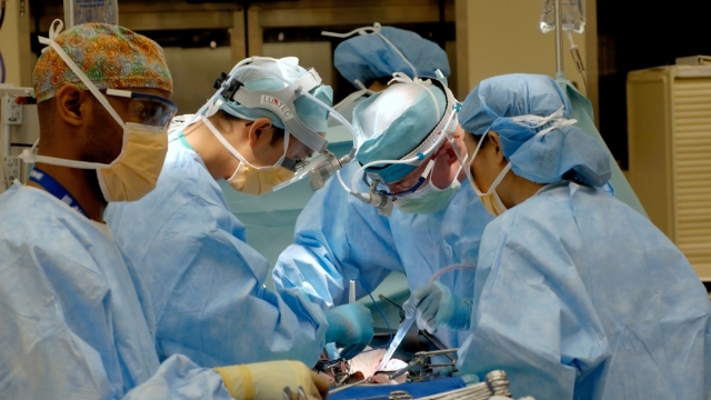 Understanding the Different Types of Surgeries and Their Costs